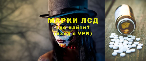 прущие грибы Каменск-Шахтинский