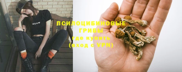 метадон Каменка