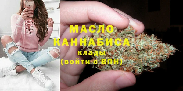 прущие грибы Каменск-Шахтинский