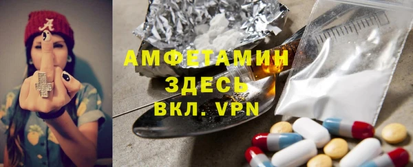 прущие грибы Каменск-Шахтинский