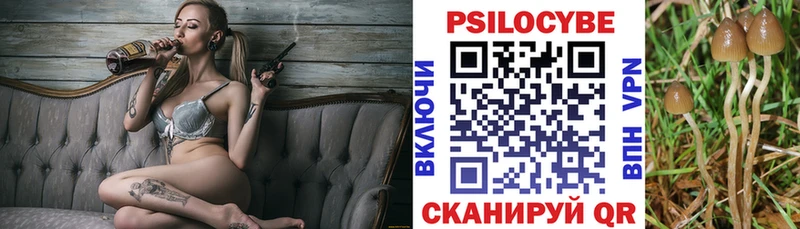 где продают наркотики  Ковдор  Псилоцибиновые грибы GOLDEN TEACHER 